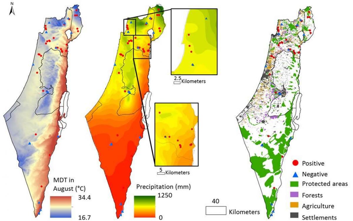 žemėlapis izraelio klimatas